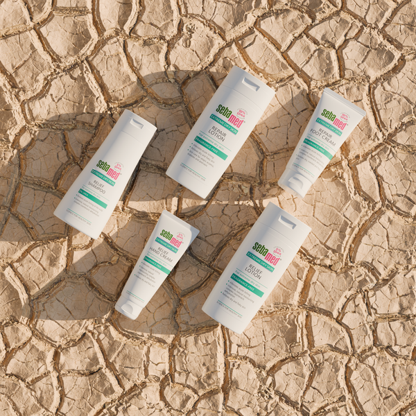 sebamed products