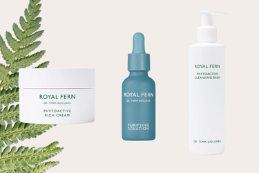 royal fern at face the future