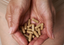 Adaptogen Supplements