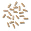 Longevity Supplements