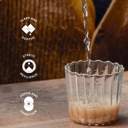 Ancient + Brave True Nightcap Supplement Sachets