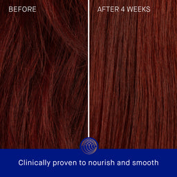 Augustinus Bader The Rich Conditioner