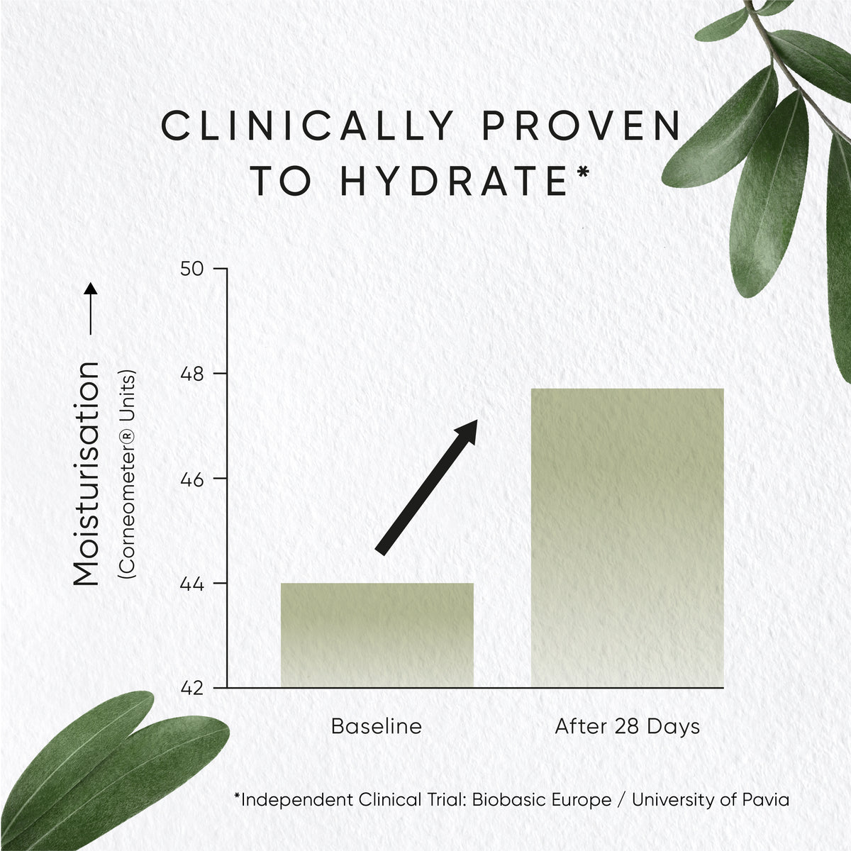 Irene Forte Skincare Olive Hydrating Eye Cream 15ml