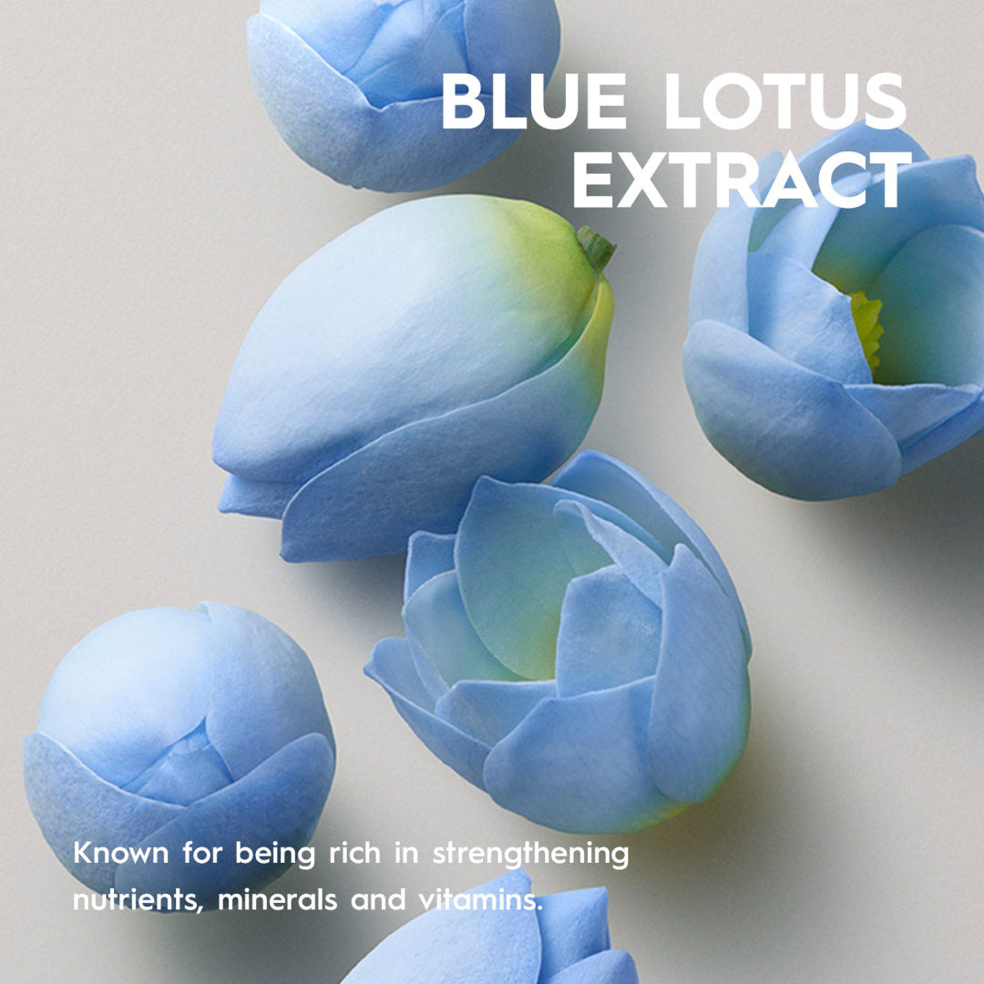 Blue lotus flowers with text about blue lotus extract on a light background