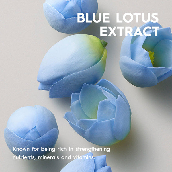 Blue lotus flowers with text about blue lotus extract on a light background
