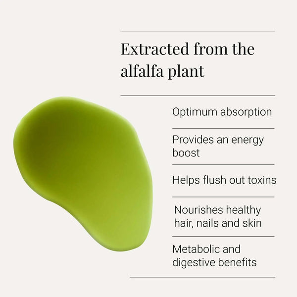 Green product with text about alfalfa plant benefits on a white background