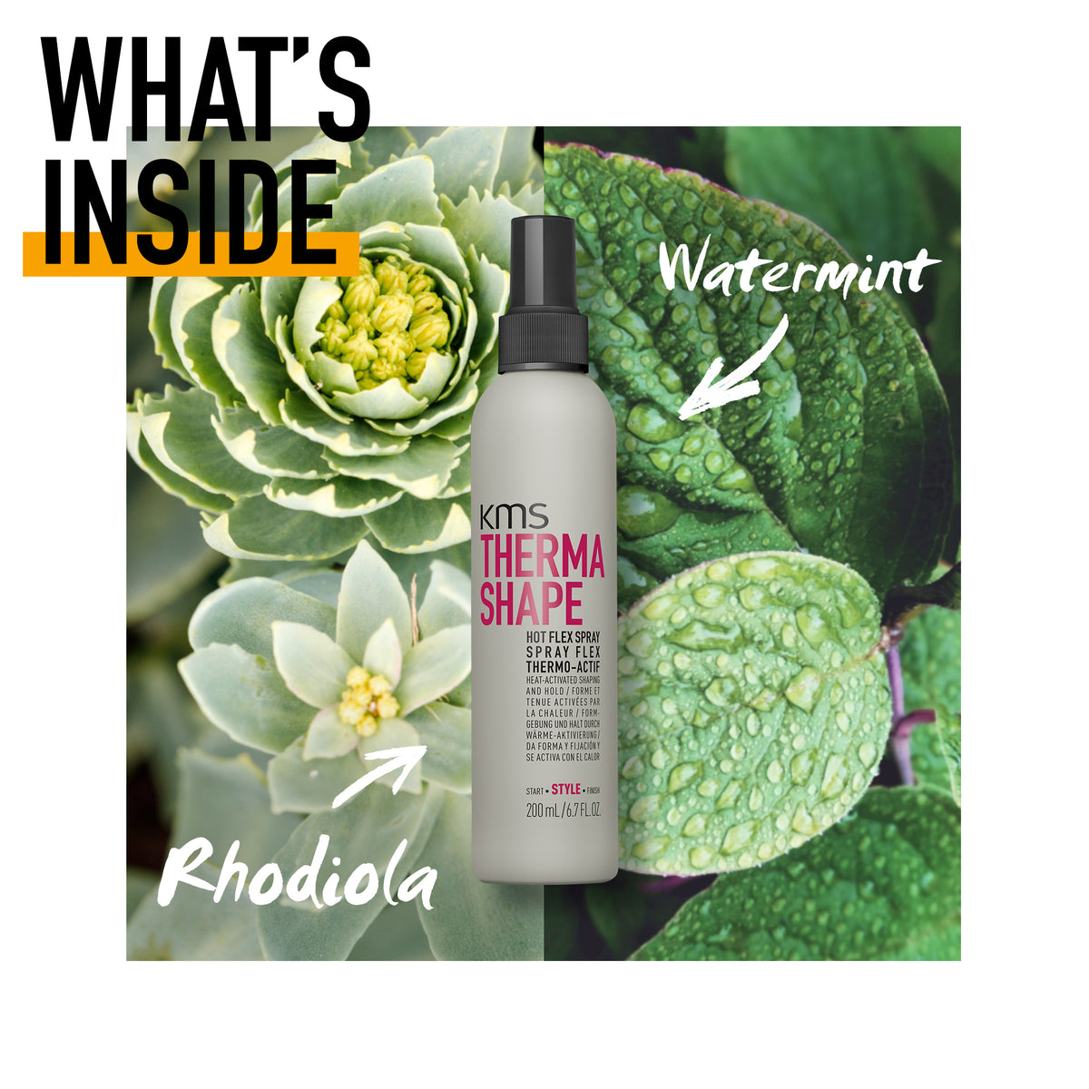 KMS Therma Shape hair product bottle with green foliage background