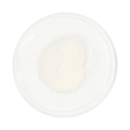 Vida Glow Natural Marine Collagen Caddy