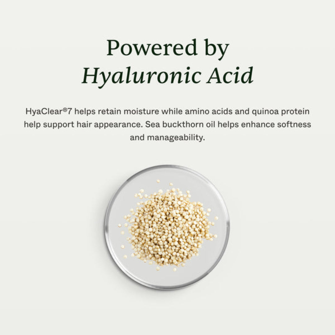 Text on a light gray background reading 'Powered by Hyaluronic Acid' with a small dish of beige powder or granules below.