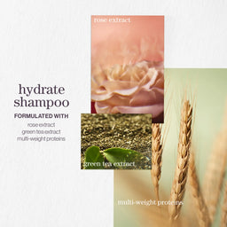 Pureology Hydrate Nourishing Shampoo 266ml