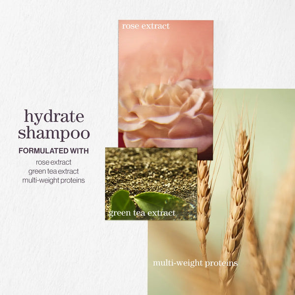 Pureology Hydrate Nourishing Shampoo 266ml
