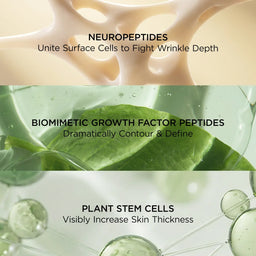 Perricone MD Neuropeptide Pro-Strength Firming Moisturizer 59ml