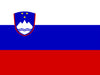 icon-flag-us